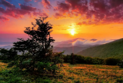 ​关于元宵节的日记200字