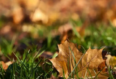 ​qq朋友圈【精选27句】