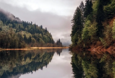 ​王姓属狗女孩取名
