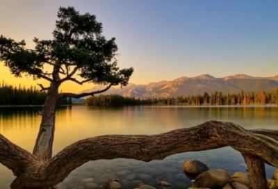 ​微信网名中年男人专用【精选64个】