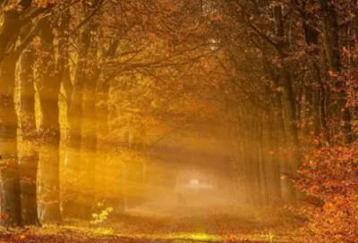 ​空间留言板留言大全20句