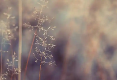 ​夏天微信问候语及关心话24句