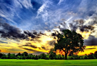 ​幼儿园毕业了园长寄语28句