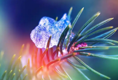 ​速冻水饺饺子煮10分钟能熟吗
