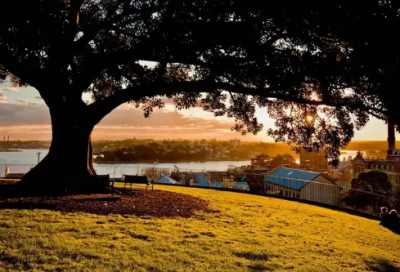 ​大卫科波菲尔佳句赏析600字