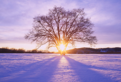 ​形容夫妻情深优选27句