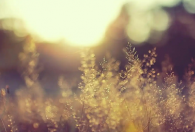 ​如果的拼音30句