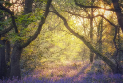 ​手帐摘抄唯美句子精选20句