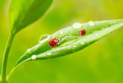 ​3分钟竞聘演讲稿范文