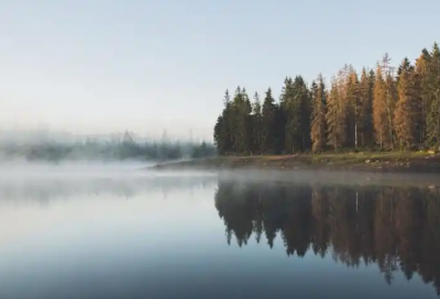 ​我要送你99朵玫瑰花是什么歌63句精选