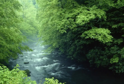 ​室内设计专业求职信