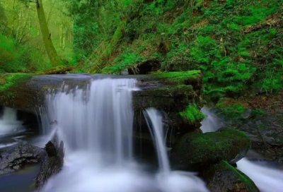 ​宜昌好人演讲稿范文