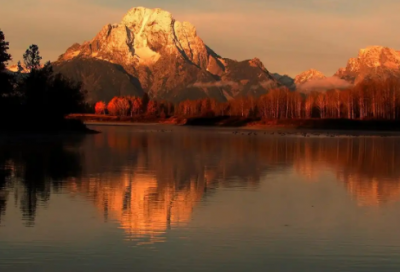 ​金融数学专业求职信