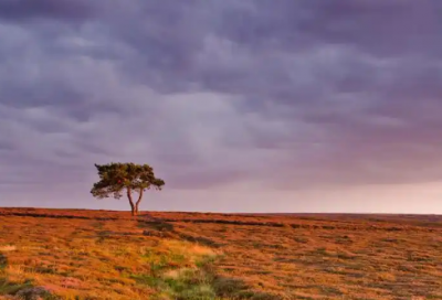 ​不堪设想的意思26句精选
