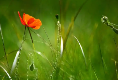 ​经济专业求职信