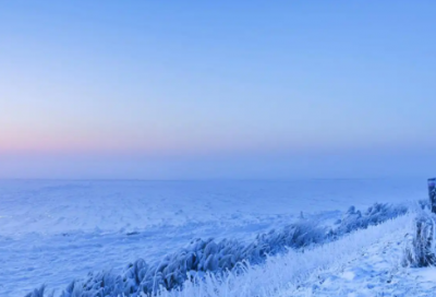 ​劫后余生优选22句