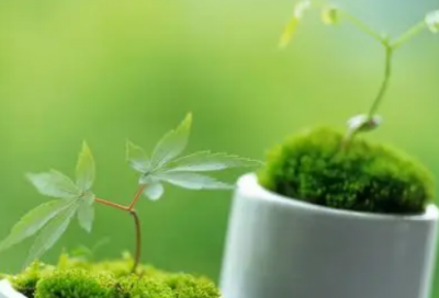 ​摄制专业求职信