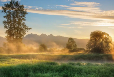 ​割字组词56句