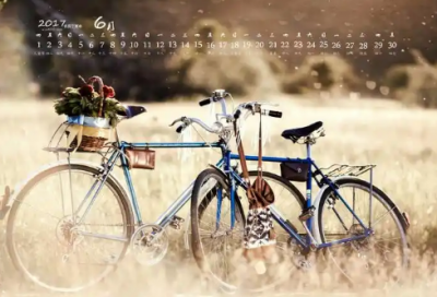 ​大病医疗救助申请书范文