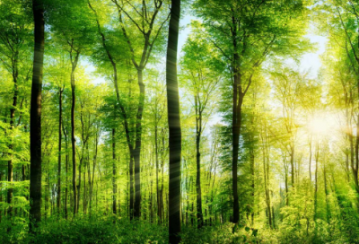 ​520情人节表白话语_520表白套路情话