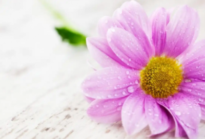 ​冷门演讲稿范文