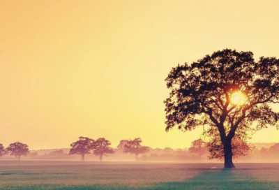 ​网名男简单霸气两个字【精选90个】