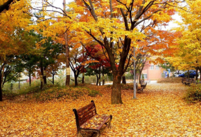 ​3分钟的演讲稿范文