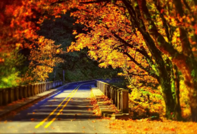 ​诊的拼音和组词58句