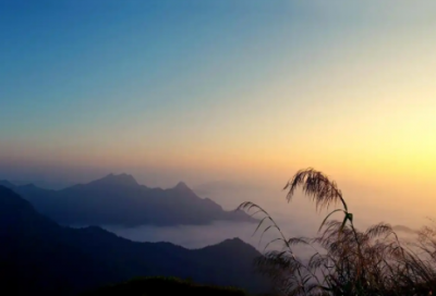 ​少先队员入队申请书范文