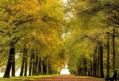 ​半藏大招台词罗马音