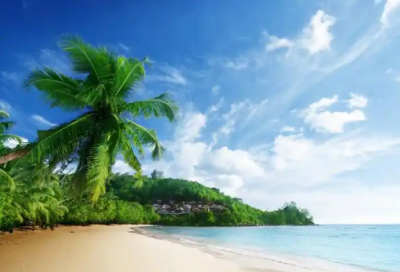 ​生物制药专业求职信