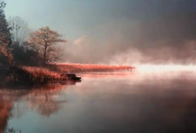 ​高级土味情话100句优选40句