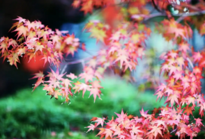 ​英语早安问候语大全100句82句