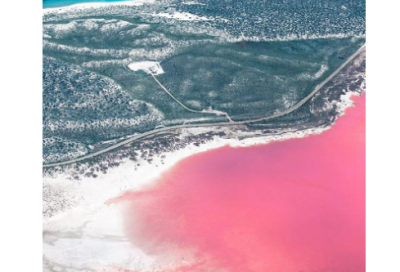 ​学校标语大全