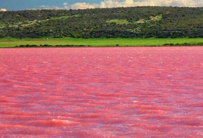 ​大卫科波菲尔佳句赏析永不