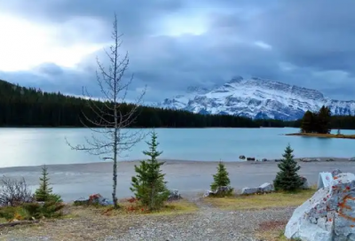 ​社保专业求职信