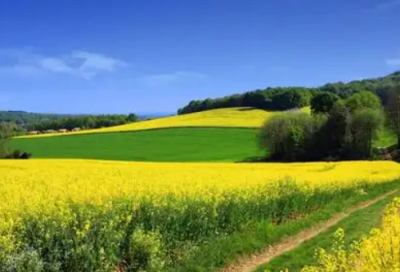 ​药学专业大专的求职信范文