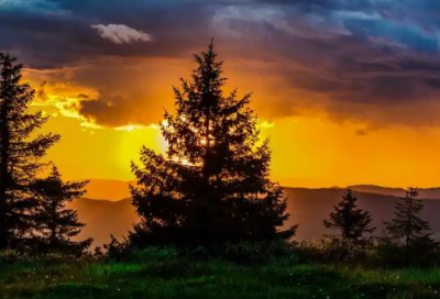 ​国庆英语手抄报的内容优选84句