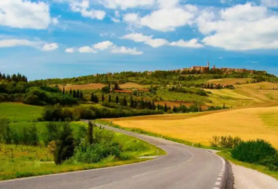 ​兔子请老虎40句