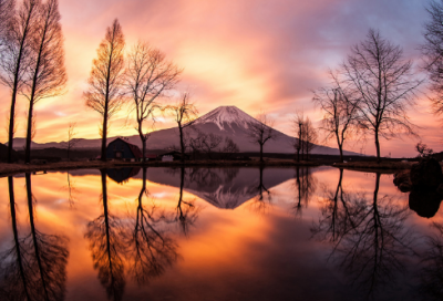 ​爱情表白语4字