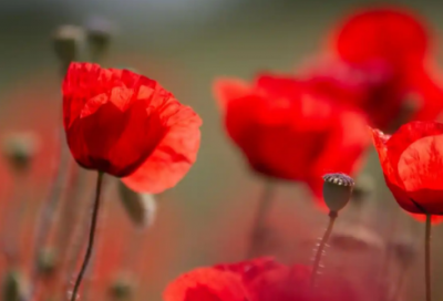 ​大一助学金申请书范文