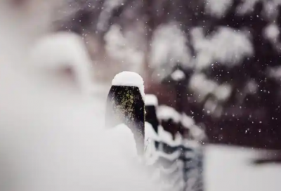 ​体检复查申请书范文