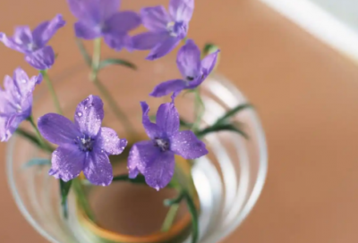 ​化验员转正申请书范文