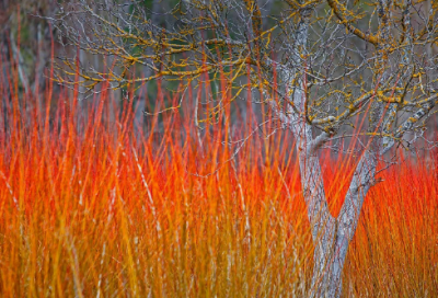 ​吊唁信优选22句