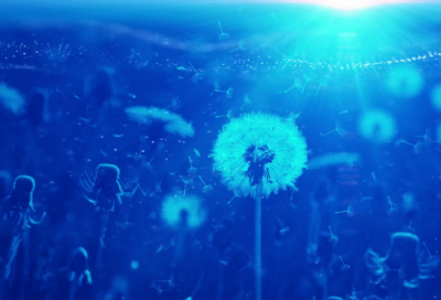 ​慈善助学金申请书范文