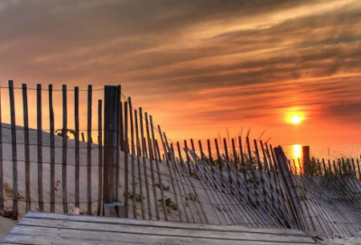 ​求职学校专业求职信