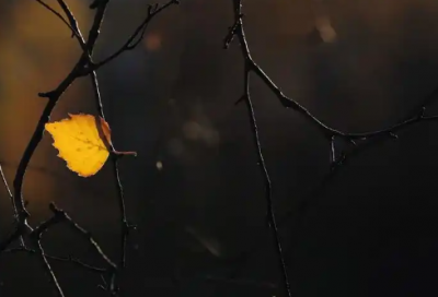 ​励志范文演讲稿