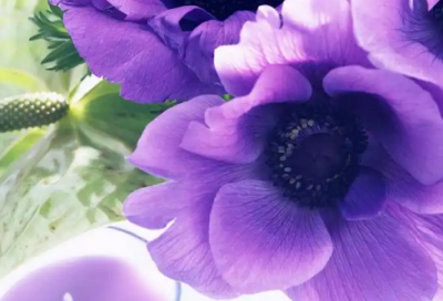 ​教师支教申请书范文