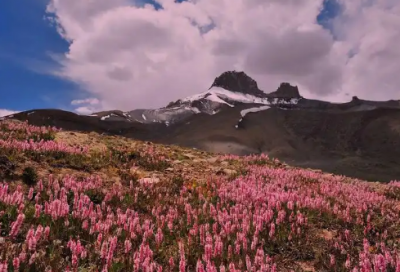 ​煤矿初心演讲稿范文
