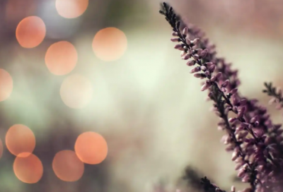 ​演讲稿范文关于地方